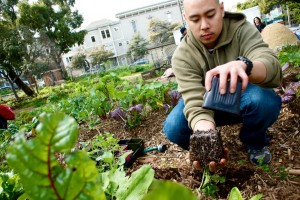 DJ @Nerstylist Planting Chard at Hayes Valley Farm, February 2012